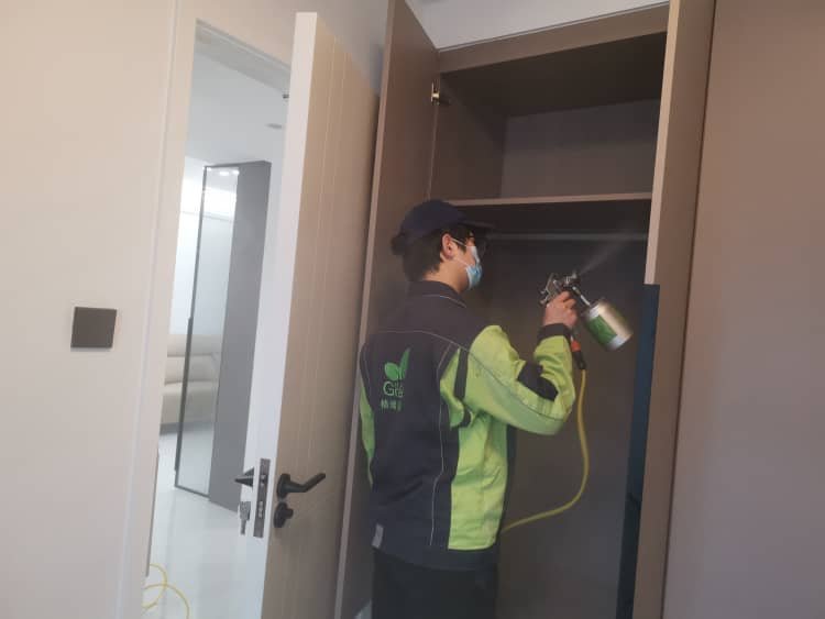 蔡甸除甲醛：格瑞乐蛮扎实！