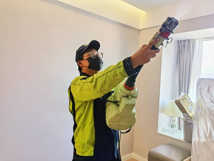 沌口除甲醛：格瑞乐蛮扎实！