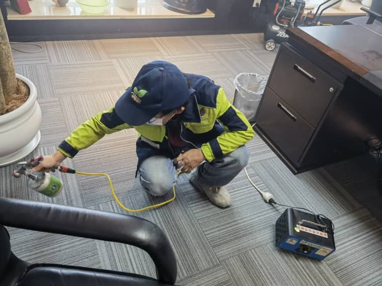 武汉新房除甲醛-格瑞乐环保靠谱之选