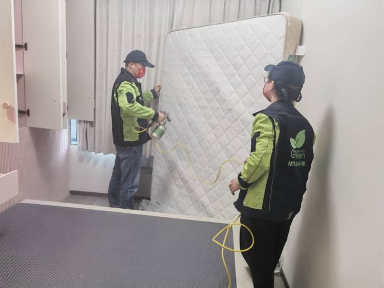 武汉新屋室内污染咋降？5 个实用妙招让空气达标